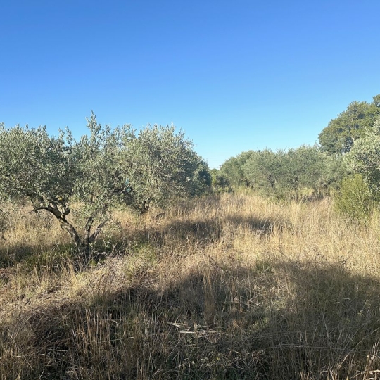  Annonces CLERMONT L'HéRAULT : Terrain | POUZOLS (34230) | 0 m2 | 19 800 € 