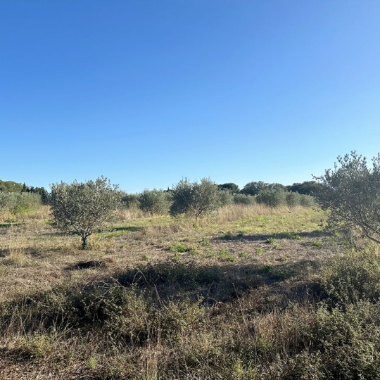  Annonces CLERMONT L'HéRAULT : Terrain | POUZOLS (34230) | 0 m2 | 30 800 € 