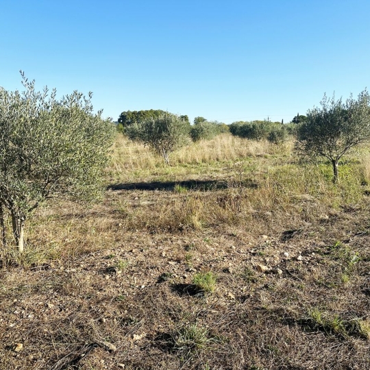  Annonces CLERMONT L'HéRAULT : Terrain | POUZOLS (34230) | 0 m2 | 30 800 € 