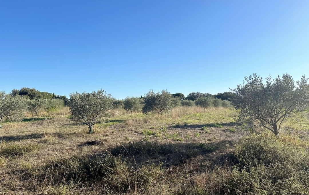 Annonces CLERMONT L'HéRAULT : Terrain | POUZOLS (34230) | 0 m2 | 30 800 € 