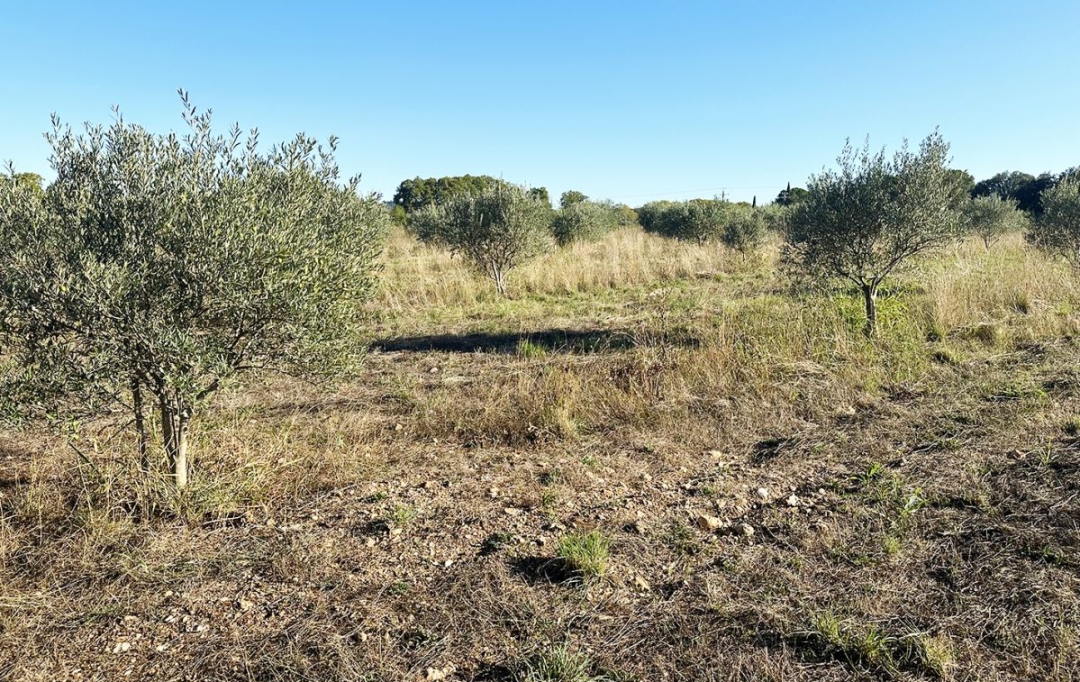 Annonces CLERMONT L'HéRAULT : Terrain | POUZOLS (34230) | 0 m2 | 30 800 € 