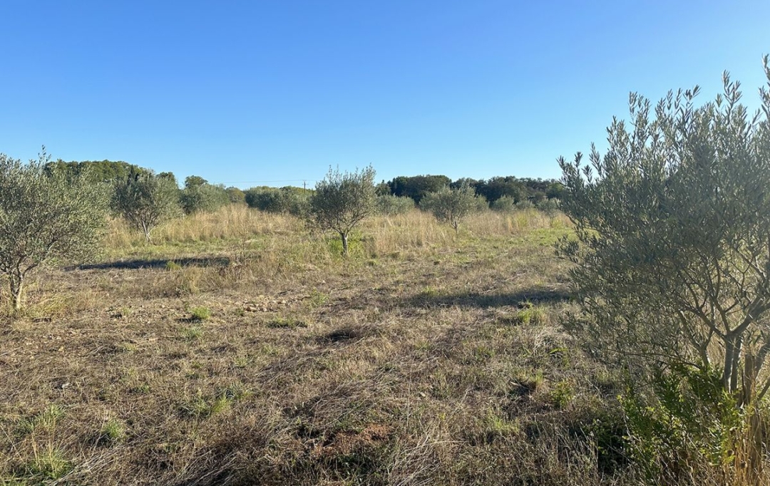 Annonces CLERMONT L'HéRAULT : Terrain | POUZOLS (34230) | 0 m2 | 30 800 € 